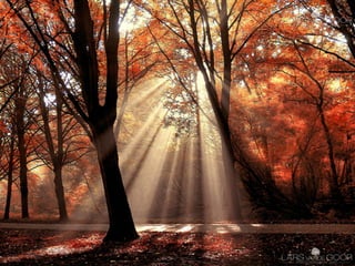 ESTÚDIO.
Luz artificial ou de
 