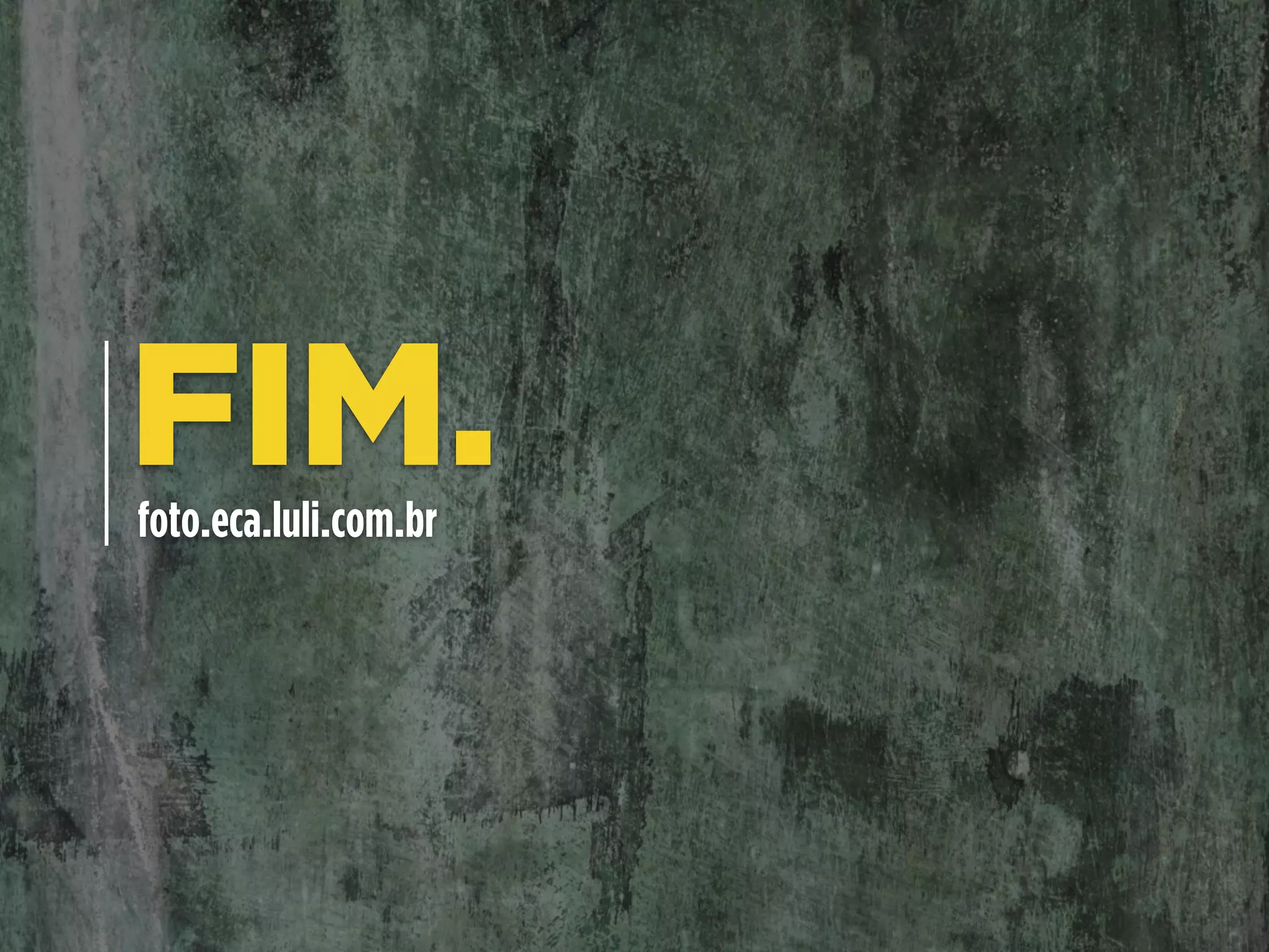 FIM.foto.eca.luli.com.br