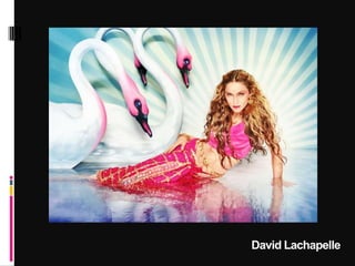 David Lachapelle
 