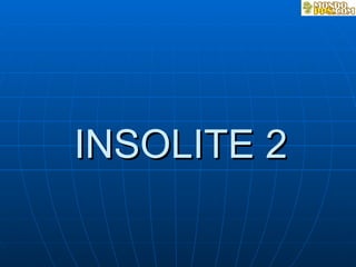 INSOLITE 2 