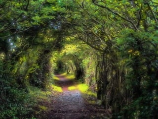 The Grove Musselburgh Scotlannd..
 