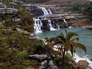 Mkambati Nature Reserve Pondoland Coast South Africa
 
