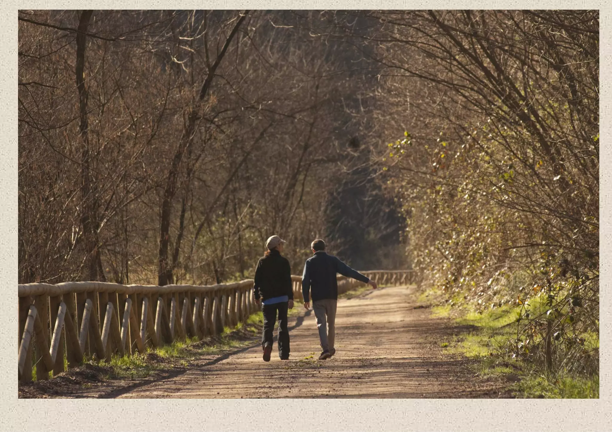 Foto CicloPedonale della Valle Olona