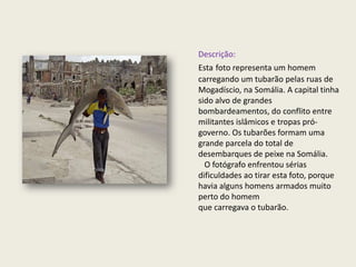 Descrição:
Esta foto representa um homem
carregando um tubarão pelas ruas de
Mogadíscio, na Somália. A capital tinha
sido alvo de grandes
bombardeamentos, do conflito entre
militantes islâmicos e tropas pró-
governo. Os tubarões formam uma
grande parcela do total de
desembarques de peixe na Somália.
  O fotógrafo enfrentou sérias
dificuldades ao tirar esta foto, porque
havia alguns homens armados muito
perto do homem
que carregava o tubarão.
 