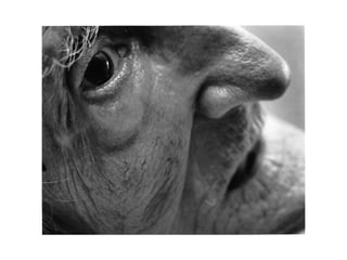 CHARACTERISTICS OF NIGHT PORTRAIT MODE Usually symbolized by a figure against a dark sky with a star Fires the flash to illuminate a nearby subject and then holds the shutter open long enough for the background to be exposed 