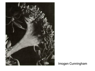 UNDERSTANDING EXPOSURE THE WINDOW EXAMPLE Imagine your camera is like a window with shutters that open and close. Aperture is the size of the window. If it’s bigger more light gets through and the room is brighter. Shutter Speed is the amount of time that the shutters of the window are open. The longer you leave them open the more that comes in. Now imagine that you’re inside the room and are wearing sunglasses (hopefully this isn’t too much of a stretch). Your eyes become desensitized to the light that comes in (it’s like a low ISO) .There are a number of ways of increasing the amount of light in the room (or at least how much it seems that there is. You could increase the time that the shutters are open (decrease shutter speed), you could increase the size of the window (increase aperture) or you could take off your sunglasses (make the ISO larger) 