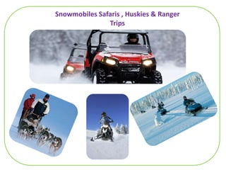 Snowmobiles Safaris , Huskies & Ranger Trips 