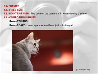 3.2.- FIELD SIZE.
3.1- FORMAT
3.3.- POINTS OF VIEW. The position the camera is in when viewing a scene.
3.4.- COMPOSITION RULES.
Rule of THIRDS.
Rule of GAZE. Leave space where the object is looking at.
@Takashi(aes256)
 