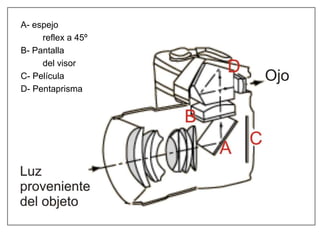 PENTAPRISMA
A- espejo
reflex a 45º
B- Pantalla
del visor
C- Película
D- Pentaprisma