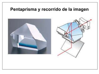 Pentaprisma y recorrido de la imagen