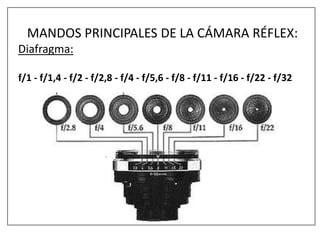 MANDOS PRINCIPALES DE LA CÁMARA RÉFLEX:
Diafragma:
f/1 - f/1,4 - f/2 - f/2,8 - f/4 - f/5,6 - f/8 - f/11 - f/16 - f/22 - f/32