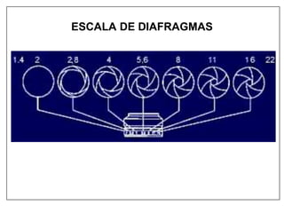 ESCALA DE DIAFRAGMAS