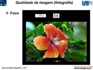 Qualidade da imagem (fotografia) 
 Foco 
Documentação fotográfica- 14/97 dktanaka@usp.br 
 