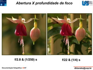Abertura X profundidade de foco 
f/2.8 & (1/250) s f/22 & (1/4) s 
Documentação fotográfica- 46/97 dktanaka@usp.br 
 