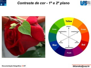 Contraste de cor - 1º e 2º plano 
Documentação fotográfica- 52/97 dktanaka@usp.br 
 