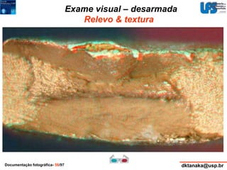 Exame visual – desarmada 
Relevo & textura 
Documentação fotográfica- 56/97 dktanaka@usp.br 
 