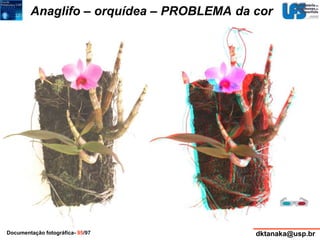 Anaglifo – orquídea – PROBLEMA da cor 
Documentação fotográfica- 95/97 dktanaka@usp.br 
 