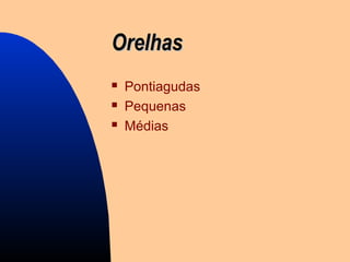 OrelhasOrelhas
 Pontiagudas
 Pequenas
 Médias
 