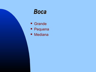 BocaBoca
 Grande
 Pequena
 Mediana
 