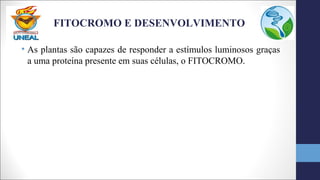 FITOCROMO E DESENVOLVIMENTO
• As plantas são capazes de responder a estímulos luminosos graças
a uma proteína presente em suas células, o FITOCROMO.
 