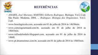 REFERÊNCIAS
• AMABIS, José Mariano; MARTHO, Gilberto Rodrigues. Biologia. Vol.2.2.ed.
São Paulo: Moderna, 2004, ... Rodrigues. Biologia dos Organismos. Vol.2.
2.ed.
• www.brasilagricola.com, acessado em 01 de julho de 2014 às 14h30min.
• www.correiogourmand.com.br, acessado em 01 de julho de 2014 às
14h43min.
• www.rufiasdelordelo.blogsport.com, acessado em 01 de julho de 2014 às
14h48.
• www.pt.dreamstimes.com.br, acessado em 01 de julho de 2014 às 15h03min.
 