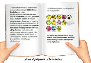 Las bacterias en el ser humano; Ana Guijarro Hernández