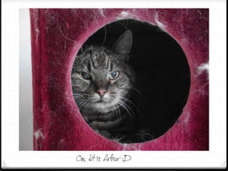 Ow, dit is Arthur :D
 