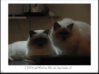 & Dit is wat Moot en Mer van hem vinden :G
 