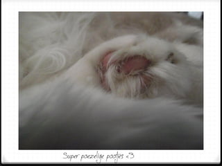 Super poezelige pootjes <‘3
 