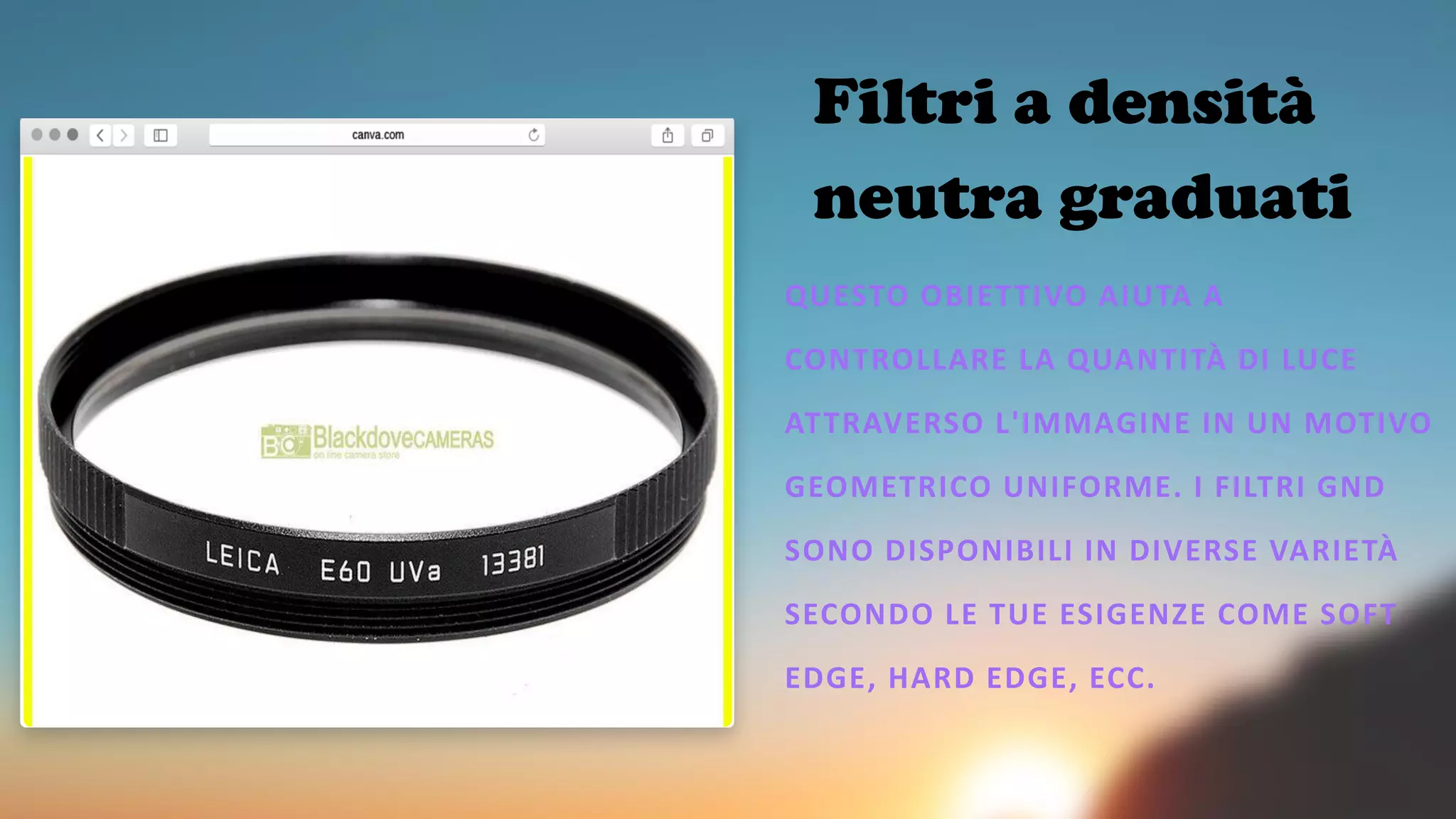 Meglio una fotocamera reflex o mirrorless