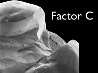 Factor C
 