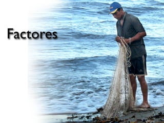 Factores
 