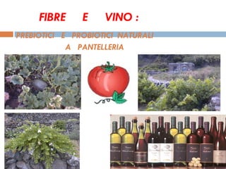 FIBRE  E  VINO :    PREBIOTICI  E  PROBIOTICI  NATURALI A  PANTELLERIA 
