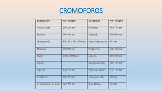 CROMOFOROS
 