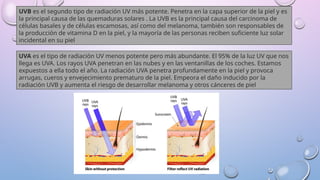 Solar Photodermatosis Comprehensive Overview of Photodermatosis and UV Radiation Effects on ...