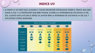 Solar Photodermatosis Comprehensive Overview of Photodermatosis and UV Radiation Effects on ...