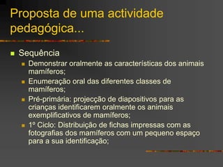 Proposta de uma actividade
pedagógica...
 Sequência
 Demonstrar oralmente as características dos animais
mamíferos;
 Enumeração oral das diferentes classes de
mamíferos;
 Pré-primária: projecção de diapositivos para as
crianças identificarem oralmente os animais
exemplificativos de mamíferos;
 1º Ciclo: Distribuição de fichas impressas com as
fotografias dos mamíferos com um pequeno espaço
para a sua identificação;
 