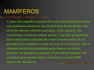 MAMÍFEROS
A classe dos mamíferos possui diversos traços distintivos, entre
estes podemos considerar um cérebro bem desenvolvido e um
nível elevado nos cuidados parentais. Estes animais são
vertebrados e possuem sangue quente, o que lhes proporciona
uma temperatura constante do corpo (homeotermia). O seu
principal traço distintivo reside no facto de no inicio da vida se
alimentarem de leite produzido pelas fêmeas em órgãos
próprios: As glândulas mamárias. O seu habitat natural está
espalhado pelo mundo inteiro. Contam-se cerca de 5000
espécies de mamíferos.
 