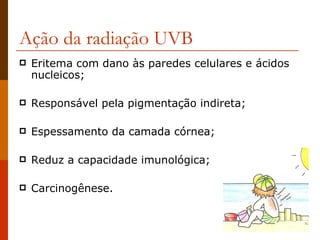 Ação da radiação UVB Eritema com dano às paredes celulares e ácidos nucleicos; Responsável pela pigmentação indireta; Espessamento da camada córnea; Reduz a capacidade imunológica; Carcinogênese.  