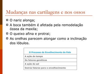 Mudanças nas cartilagens e nos ossos O nariz alonga; A boca também é afetada pela remodelação óssea da maxila; O queixo afina e protrai; As orelhas parecem alongar como a inclinação dos lóbulos.   Outros fatores para o envelhecimento  A ação do sol  Os fatores genéticos A ação do tempo O Processo de Envelhecimento da Pele  
