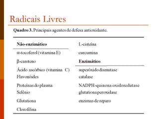 Radicais Livres 