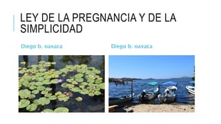 LEY DE LA PREGNANCIA Y DE LA
SIMPLICIDAD
Diego b. oaxaca Diego b. oaxaca
 