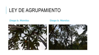 LEY DE AGRUPAMIENTO
Diego b. Morelos Diego b. Morelos
 