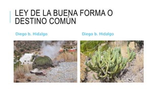LEY DE LA BUENA FORMA O
DESTINO COMÚN
Diego b. Hidalgo Diego b. Hidalgo
 