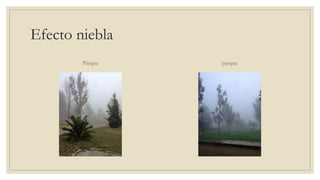Efecto niebla
Parque parque