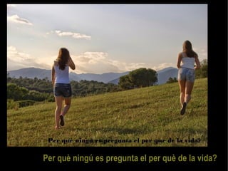 Per què ningú es pre gunta el per què de la vida? 
 