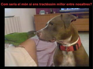 Com seria el món si ens tractéssim millor entre nosaltres? 
 