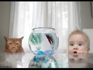 Fotografias Incríveis