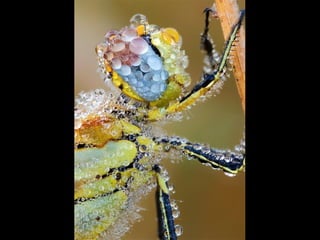 Fotografias Incríveis