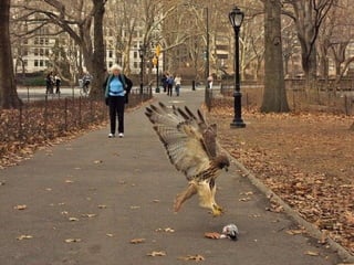 Fotografias Incríveis